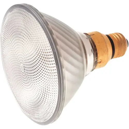 Satco S2257 70-Watt PAR38 Medium Skirted Base Flood Halogen Light Bulb