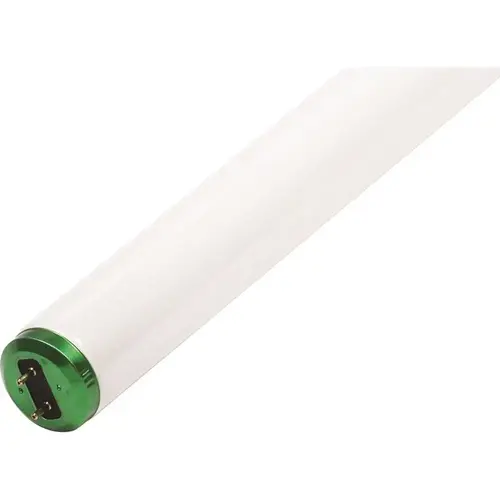 Philips 273599 Fluorescent Bulb, 40 Watt, T12, 6,500k, 90 Cri