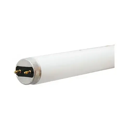 GE 41984 Linear Fluorescent Bulb Fluorescent Cool White 48" G13 (Medium Bi-Pin) T8 Frosted