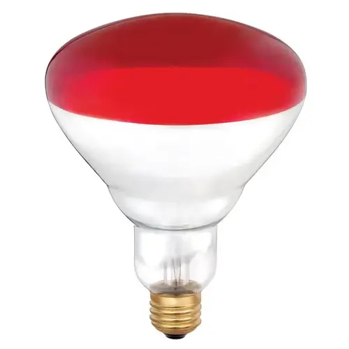 Westinghouse 0397948 Incandescent Bulb 250 W R40 Heat Lamp E26 (Medium) Red Clear