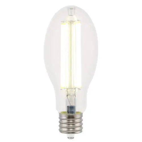 Westinghouse 5225100 Filament LED Bulb ED28 EX39 (Mogul) Daylight 300 Watt Equivalence Clear