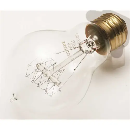 Satco S2419 Vintage A Bulb, 60 Watt, Quad Loop, 120 Volt