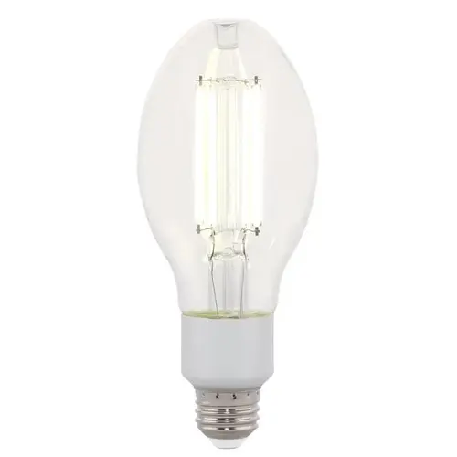 Westinghouse 5250000 Filament LED Bulb ED23.5 E26 (Medium) Daylight 125 Watt Equivalence Clear