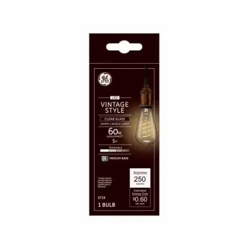 GE 36506 Filament LED Bulb ST19 E26 (Medium) Warm Candle Light 60 W Clear