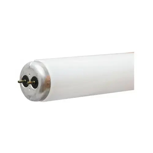 GE 66650-XCP30 Fluorescent Bulb 40 W T12 48" L Cool White Linear 4100 K Clear - pack of 30