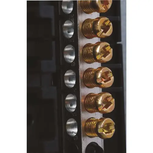 Eaton BRP20B200R BR 200 Amp 40-Circuit Outdoor Main Breaker Plug-On Neutral Load Center