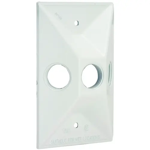 Hubbell 5189-1 Cluster Cover, 4-19/32 in L, 2-27/32 in W, Rectangular, Zinc, White, Powder-Coated