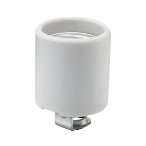 PASS & SEYMOUR 31528CC10 Incandescent Medium Base Porcelain Lampholder, Screw Terminals, 660-Watt, 250-Volt