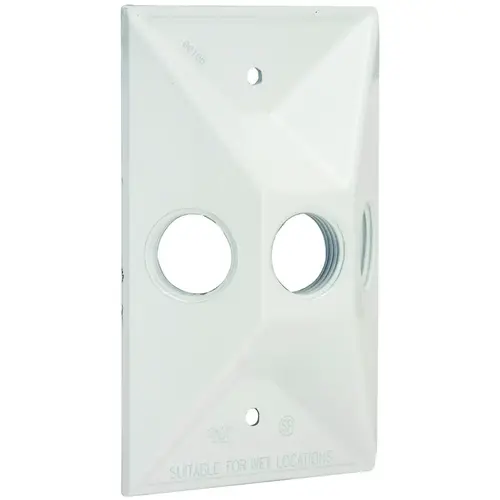 Hubbell 5189-6 Cluster Cover, 4-19/32 in L, 2-27/32 in W, Rectangular, Zinc, White, Powder-Coated