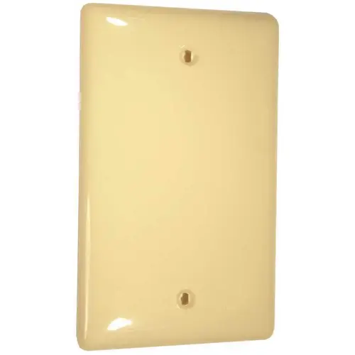 HUBBELL WIRING NP13I 1-Gang Blank Wall Plate, Ivory