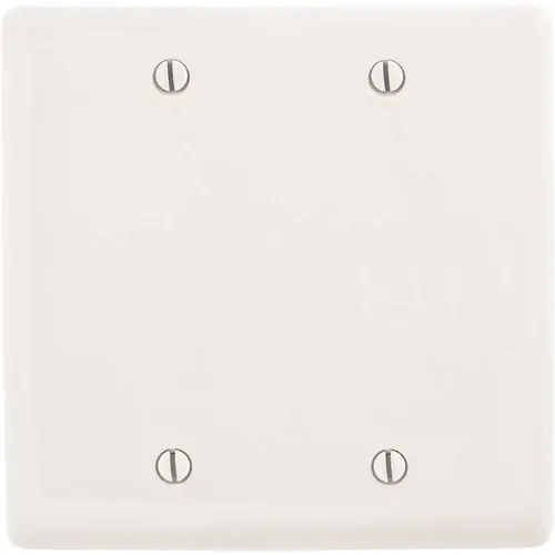 HUBBELL WIRING P23W 2-Gang White Box Mount Blank Wall Plate