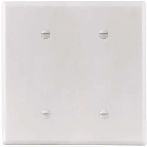 Titan3 Technology TPMSSW-BB-XCP10 White Smooth 2-Gang Blank Standard Metal Wall Plate - pack of 10