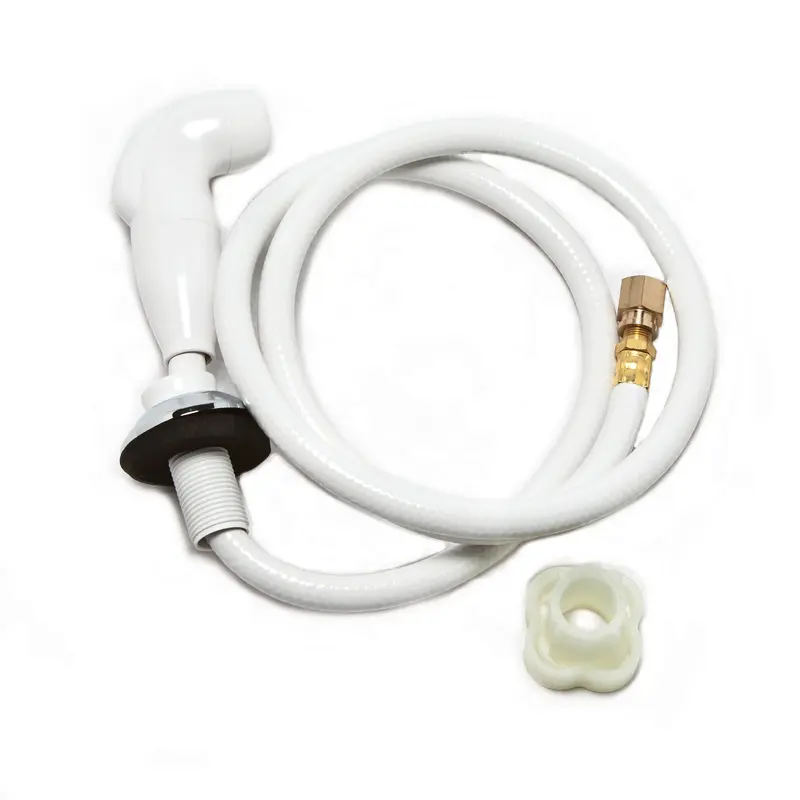 Moen Glacier Hose and SprayGlacier