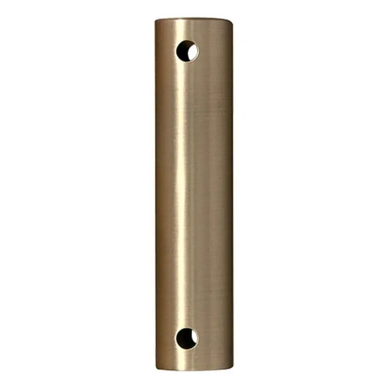 24 in. Brushed Satin Brass Stainless Steel Extension Downrodeach