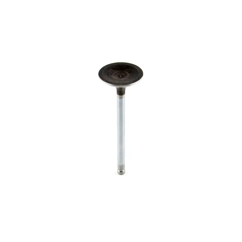 Briggs and Stratton 792868 Exhaust Valve