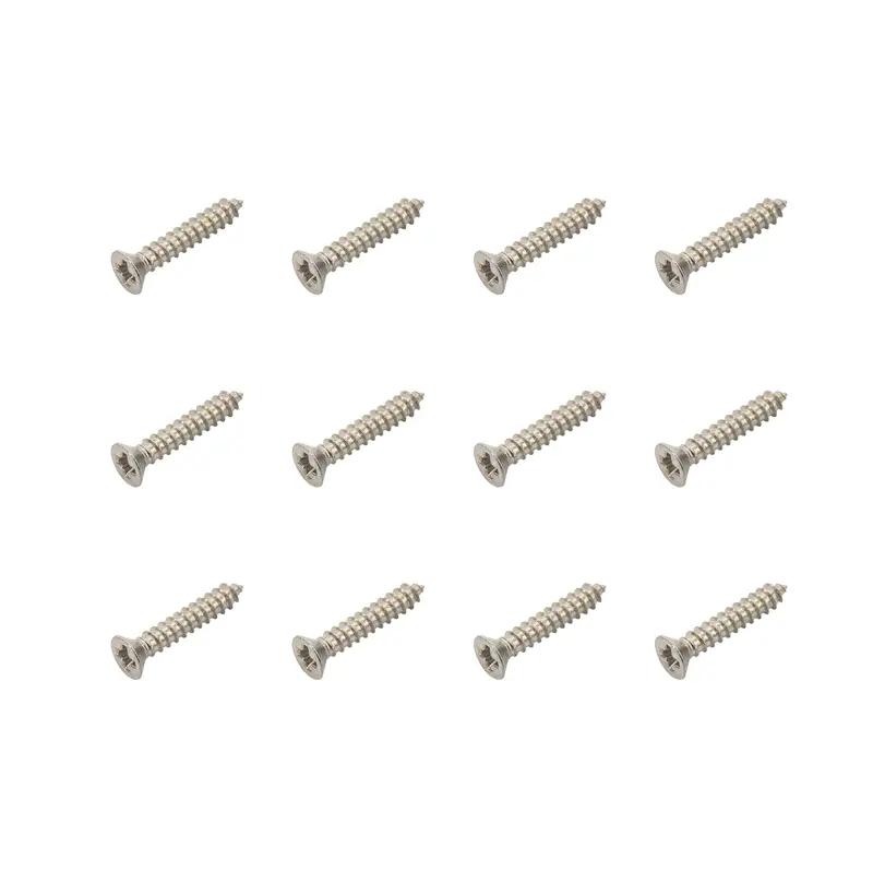 Curtain Track Screws (Pack of 12)