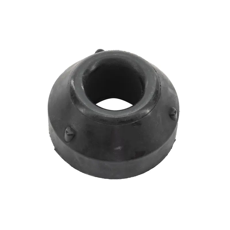 Radius Rod Bushing - Rear