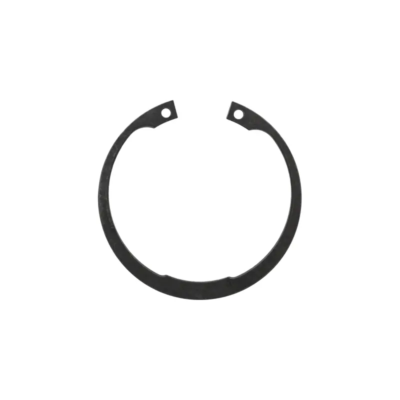 Rear Wheel Bearing Clip