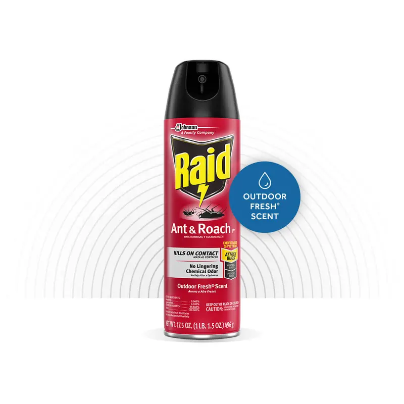 RAID ANT & ROACH KILLER 26