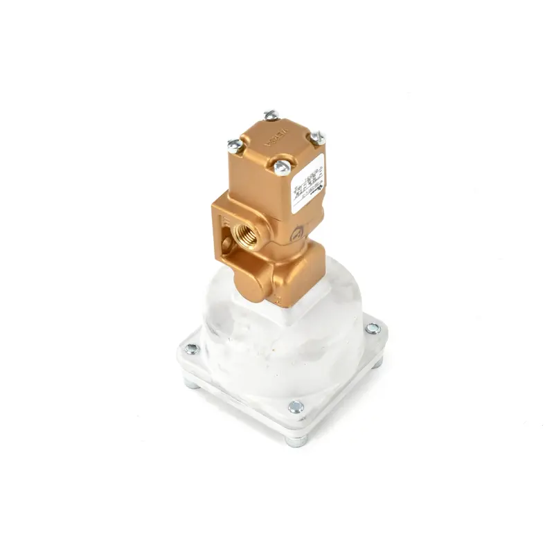 Gardner Denver Purge Valve Replacement - 90AR35
