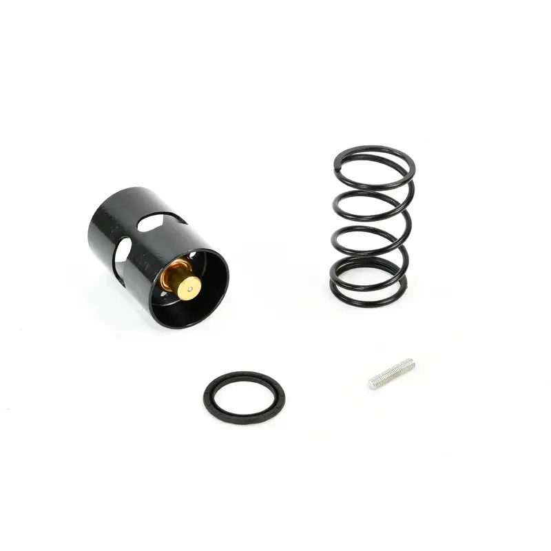 Gardner Denver Thermal Valve Replacement - A11511974