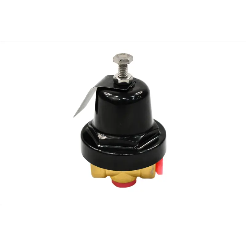 Quincy Differential Pilot Valve Replacement - 21969-1