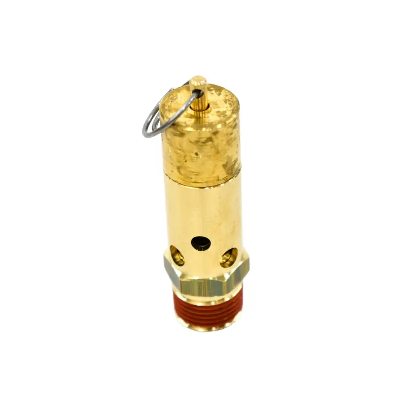 Quincy Safety Valve Replacement - 0830100840