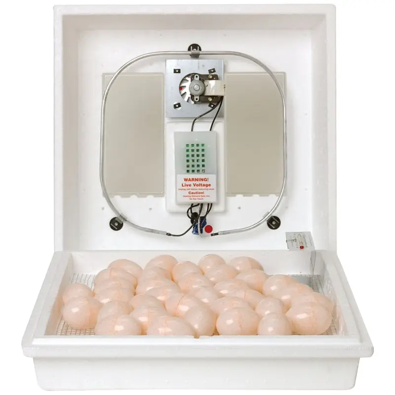 Little Giant 10300 Egg Incubator, 41 Large Chicken Eggs Egg, 99.5 deg F, Styrofoam