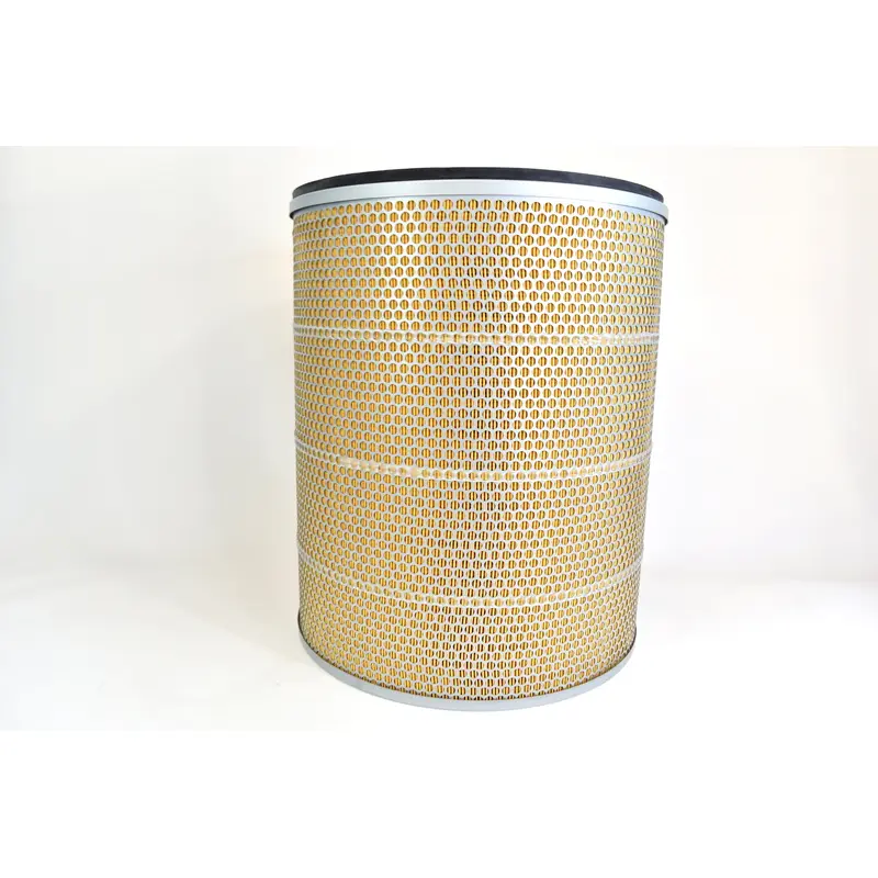 Mann Air Filter Replacement - C402070