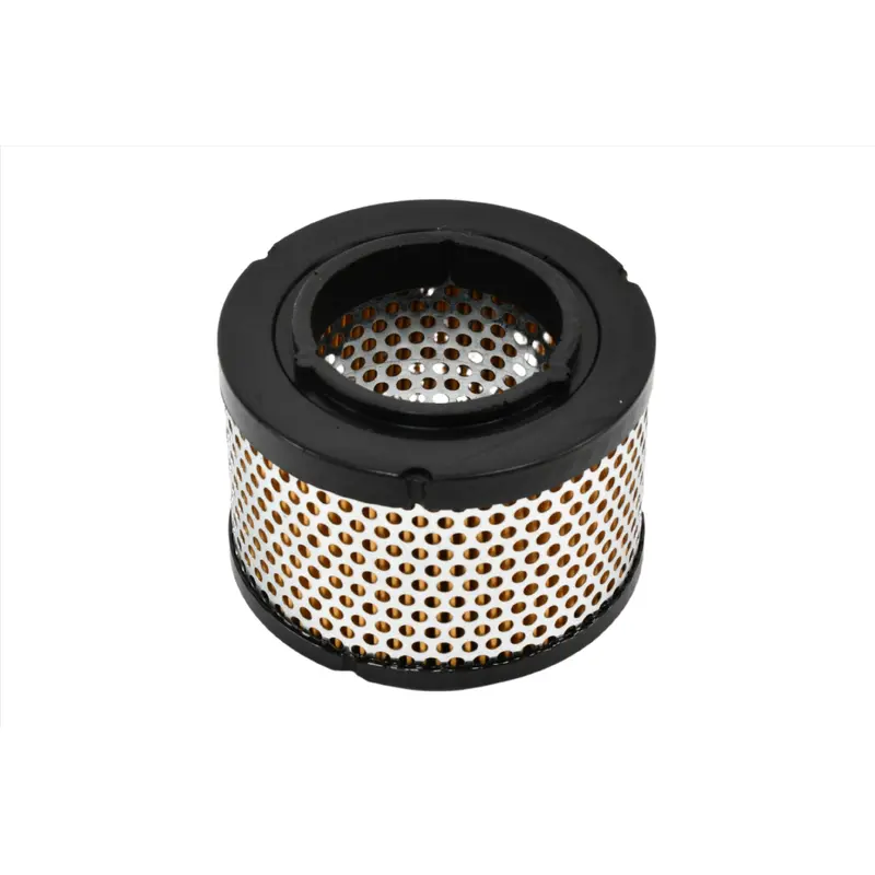 Kaeser Air Filter Replacement - 6.0215.0