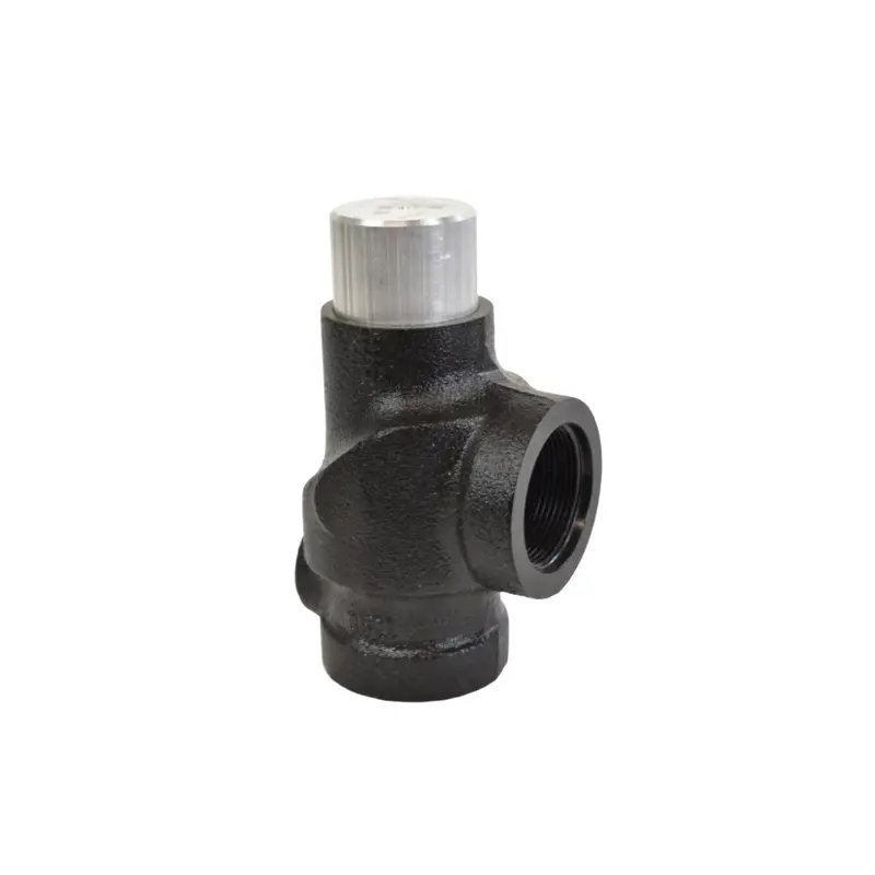 LeROI Minimum Pressure Check Valve Replacement - 15-1953