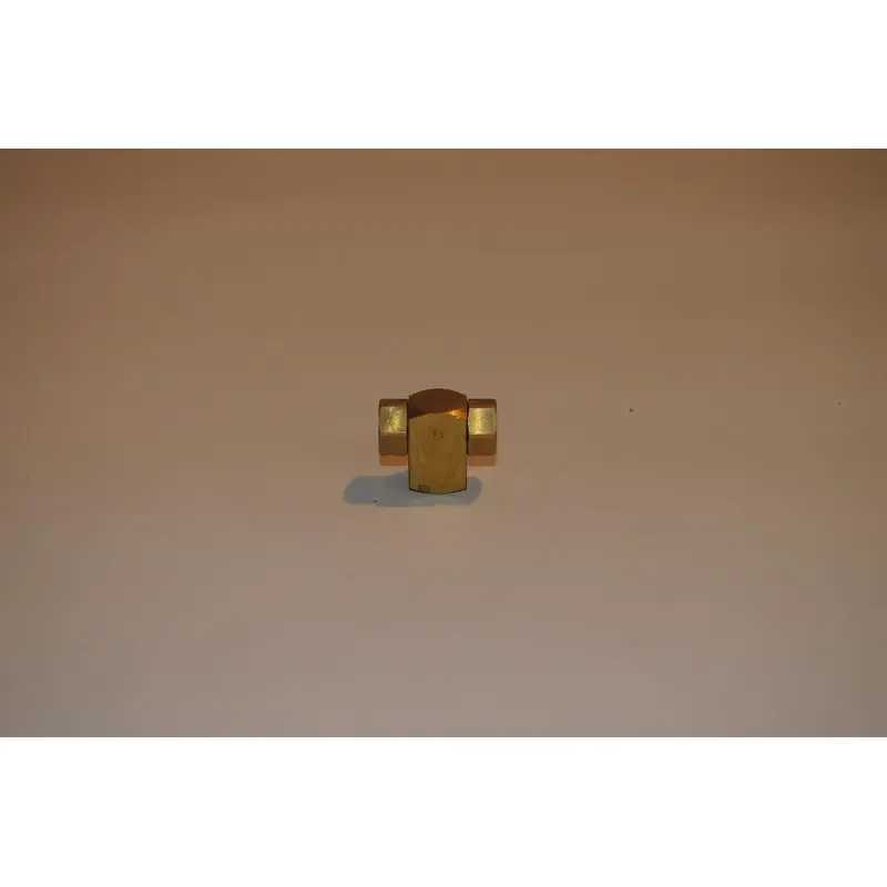 Joy Check Valve Replacement - 00543299-006