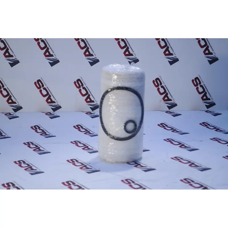 Joy Reciprocating Parts Filter Replacement - 0701601-488