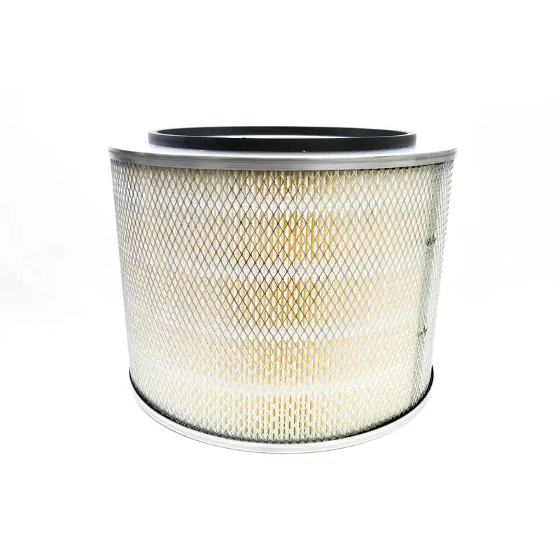 Kaeser Air Filter Replacement - 6.6323.1