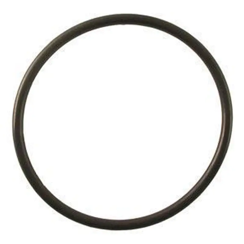O-Ring | N4735