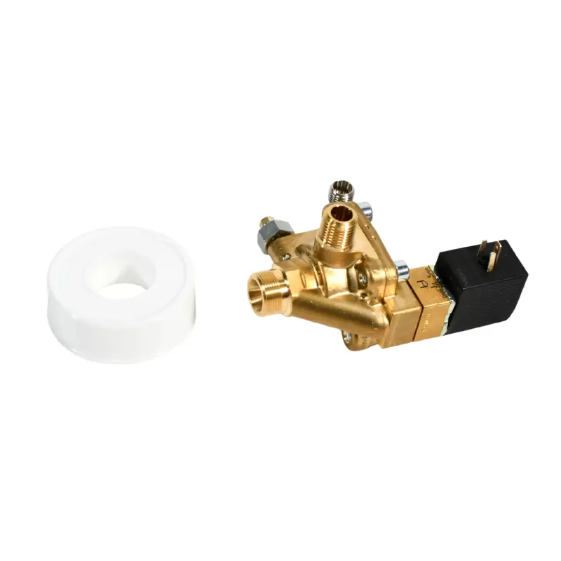 Kaeser Combination Discharge Valve Replacement - 4.4576.20110