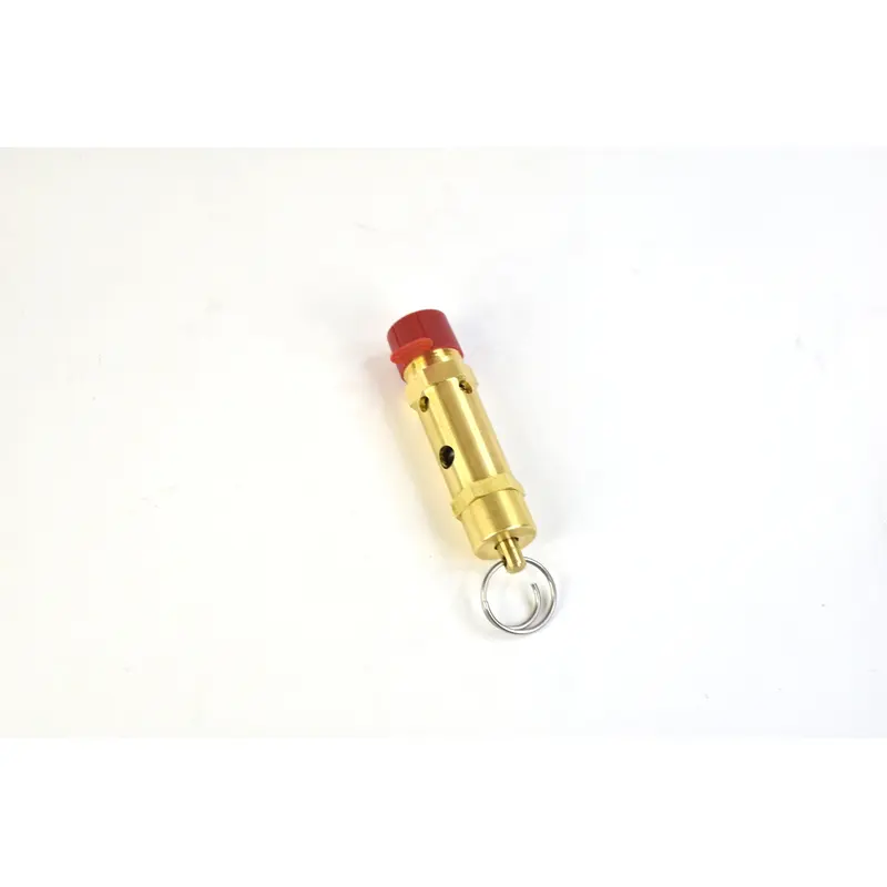 Kaeser Safety Valve Replacement - US7400684