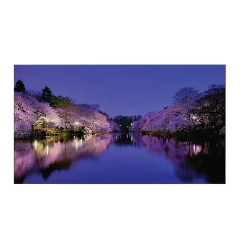 Hisense LCD Video wall ultra-thin - 55"