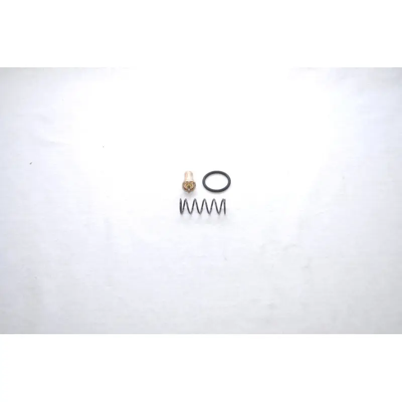 Quincy Thermal Valve Kit Replacement - 2200599825