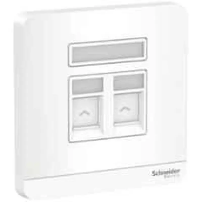 Schneider AvatarOn White Data Socket