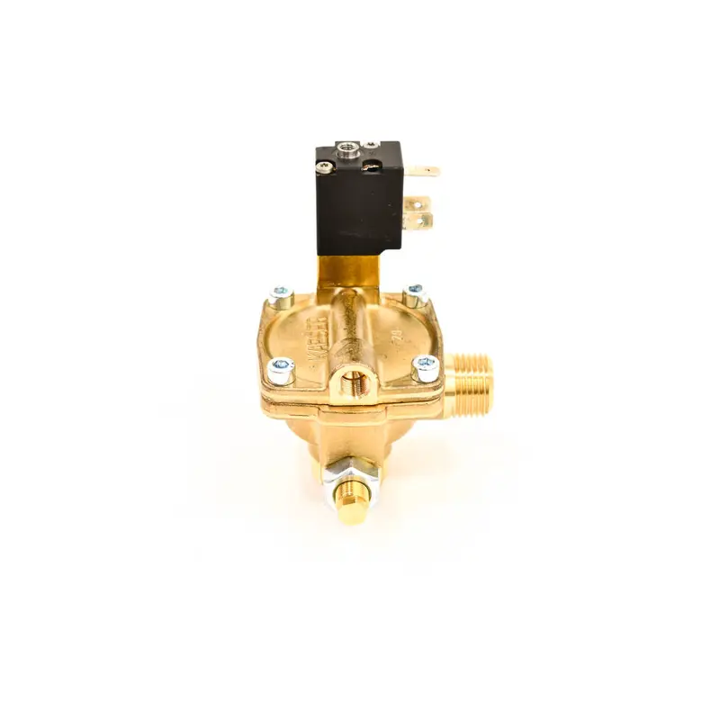 Kaeser Combination Valve Replacement - 214181E00020