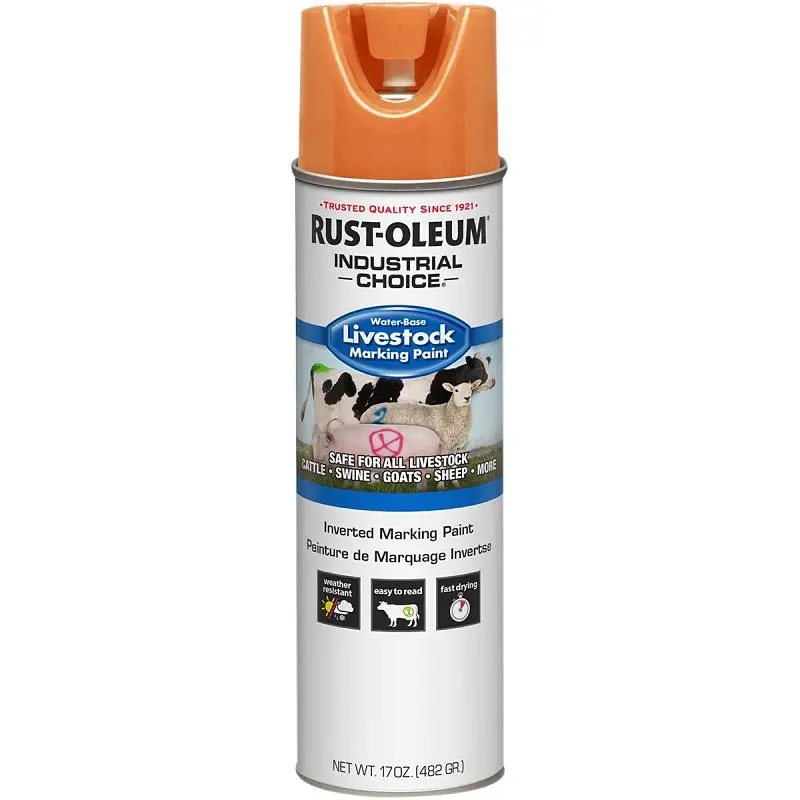 RUST-OLEUM 383006 Marking Paint, Fluorescent Orange, 17 oz