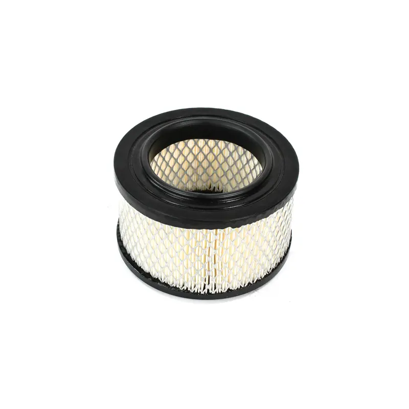 Gardner Denver Air Filter Replacement - 2118504