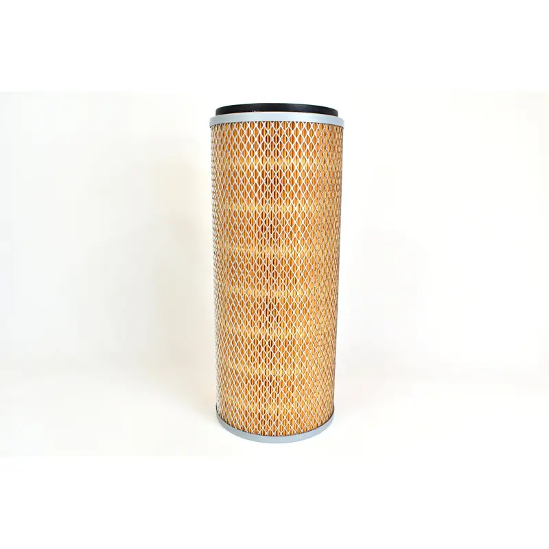 Joy Air Filter Replacement - 0543298-006