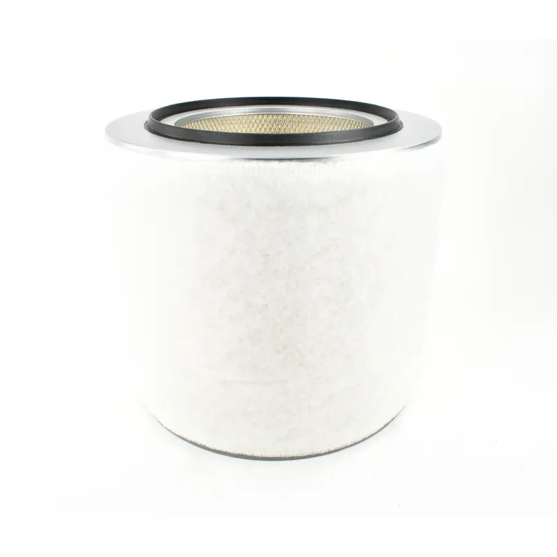 Kaeser Air Filter Replacement - 6.4198.20010