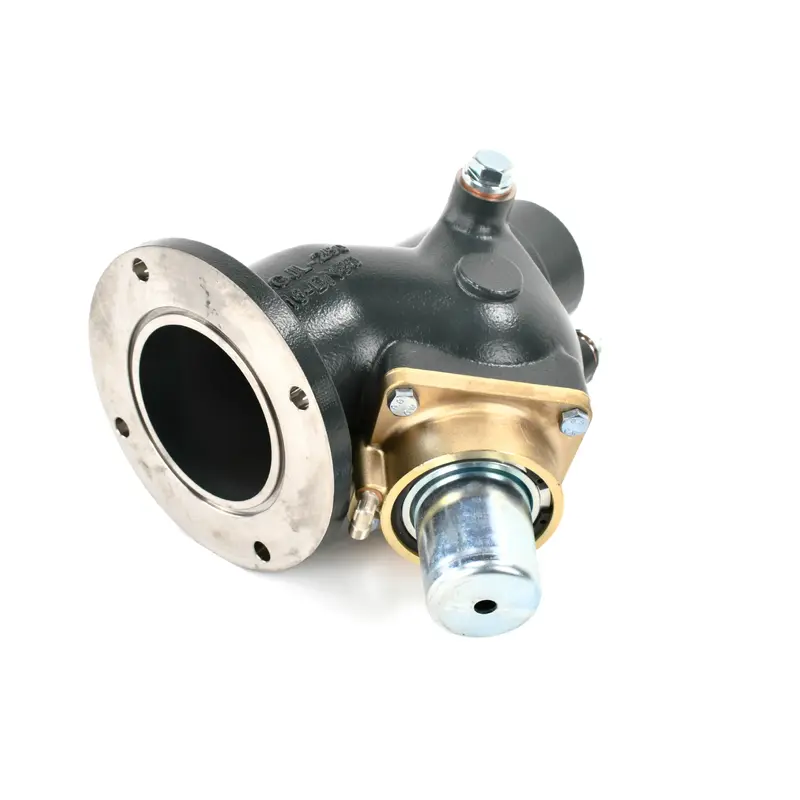 Kaeser Inlet Valve Replacement - 208139E2